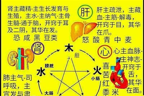 五行屬火名字|五行屬火的漢字大全